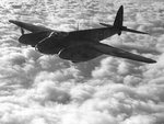 mozzie-2_829.jpg