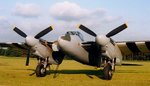 mosquito_20fal06.94_105.jpg