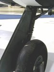 22typhoon_135.jpg