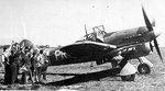 typhoon_1_204.jpg
