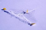 snow_landing_213.jpg