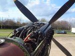 nocowlings_199.jpg