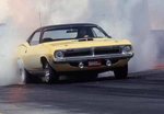 tb_dodge_hemicuda_217.jpg