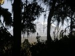 mount_kilimanjaro_from_trees_169.jpg
