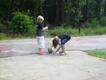 fun fun 108.jpg