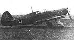 Yak1-1.jpg