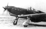 Yak1-2.jpg