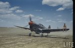 P-40K 13.jpg