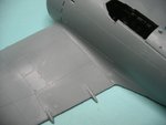 Wing joint_5615.JPG