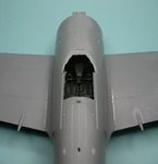 Wing joint_5572.JPG