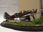 fw190finish.jpg
