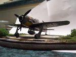 fw190finish3.jpg