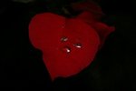 IMGP6322-sm.jpg