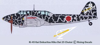 Ki-45 25 Dokuritsu Chutai Manchuria 1945-c-profil-ART-2.jpg