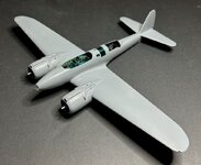 51_Wings on_E6629.jpg