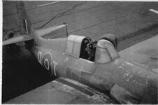 DADS HANDIWORK - WILDCAT JV706 WRITE OFF 17-05-1945 HMS QUEEN_1 modd (0).jpg DADS HANDIWORK - WILDCAT JV706 WRITE OFF 17-05-1945 HMS QUEEN_1 modd (0).jpg