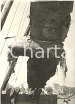 OstiaDo1172.jpg