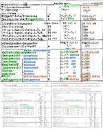 IMG_7759.jpeg