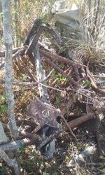 IMG_5571.jpeg