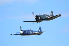 NAVY PAIR (2).JPG