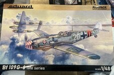 IMG_5430.jpeg IMG_5430.jpeg