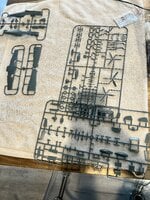 IMG_5429.jpeg IMG_5429.jpeg