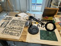 IMG_5423.jpeg IMG_5423.jpeg