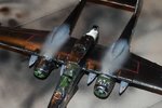 DSC_0204.JPG