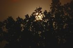 IMGP4618-ed.jpg