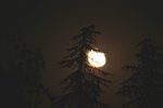 IMGP4637-ed.jpg