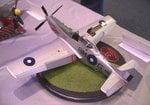 Mustang IV_4471.JPG