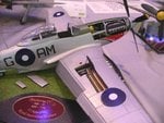 Mustang IV_4472.JPG