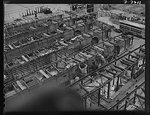 8b09535r.jpg