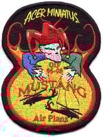 USARMY 36th Combat Aviation Bge-Air Planning Staff-Task Force MUSTANG.jpg