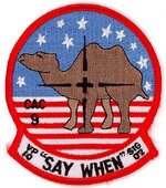 USN CAC-9 2002.jpg