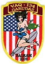 USN Electronic Warfare Attack Sqd-134-GARUDAS.jpg