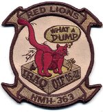 USMC HMM-363.jpg