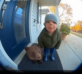 Screenshot 2025-11-27 at 15-25-08 Mommy I found a puppy! #bear #puppy #littleboy #funnyanimals...png