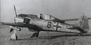 fw190a Black 8 Snake.jpg