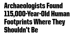 Screenshot 2025-12-04 at 13-25-02 Human Migration History Ancient Human Footprints in Saudi Ar...png