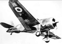 Screenshot 2025-05-21 at 21-43-00 Argentine Hawk 75 at DuckDuckGo.png