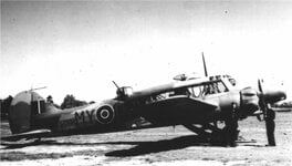 LT592 MYO.jpg