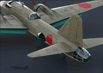 KI-67 tail.png