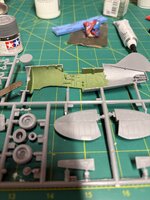 IMG_8554.jpeg