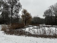 IMG_2805.jpeg