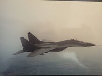 IMG_1504.jpeg