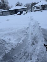IMG_3317.jpeg