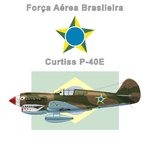 Curtiss_P40E_Brazil_1.jpg