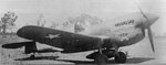 Landers_P-40E_Texas_Longhorn_1.jpg