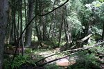 july.09 174.1.jpg